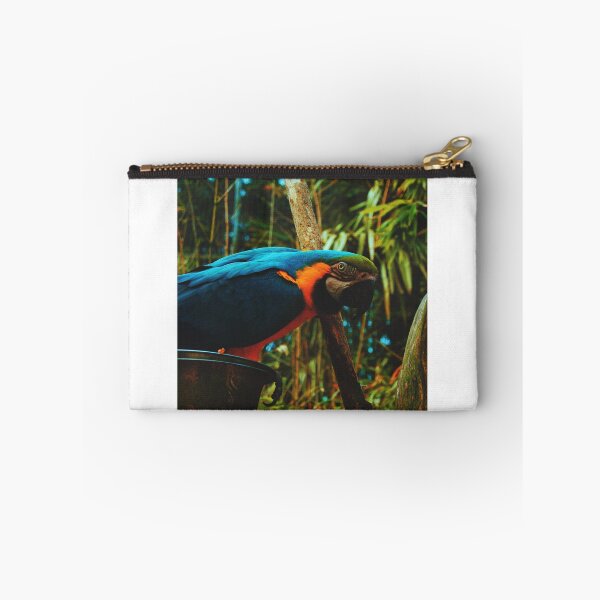 Item preview, Blue macaw designed and sold by Manonlpstn.