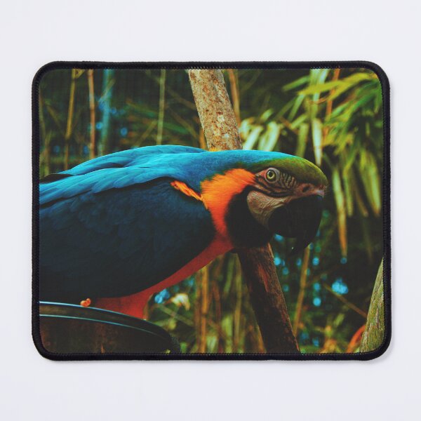 Item preview, Blue macaw designed and sold by Manonlpstn.