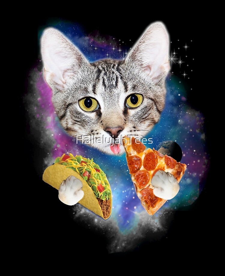cat eating pizza shirt