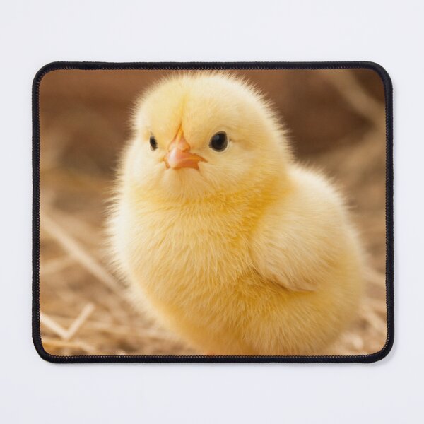 Item preview, Cute Yellow Chick – Adorable Baby Chicken Art designed and sold by Darlin8888.