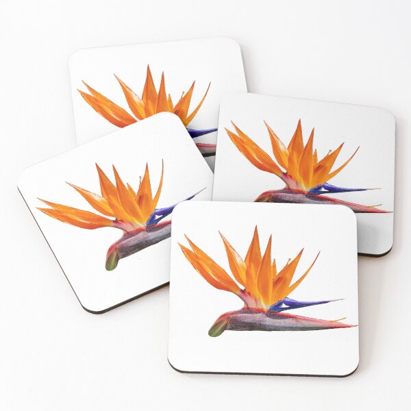 Item preview, Bird of Paradise flower designed and sold by Dalyndigital Photography.
