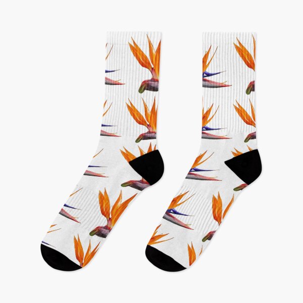 Item preview, Bird of Paradise flower designed and sold by Dalyndigital Photography.