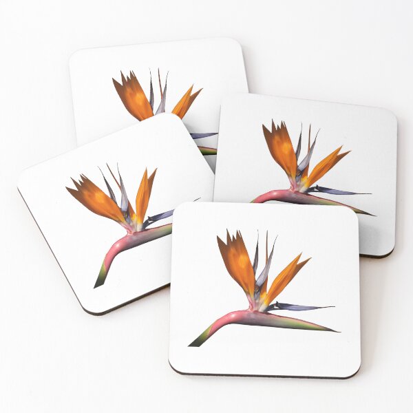 Item preview, Bird of Paradise flower designed and sold by Dalyndigital Photography.
