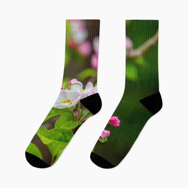 Item preview, Beautiful Apple Blossom designed and sold by Dalyndigital Photography.
