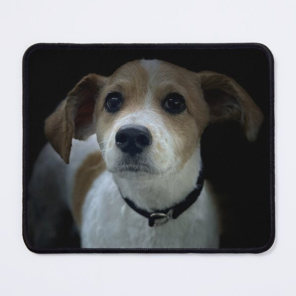 Item preview, Jack Russel Terrier Portrait designed and sold by DeeplineArt.