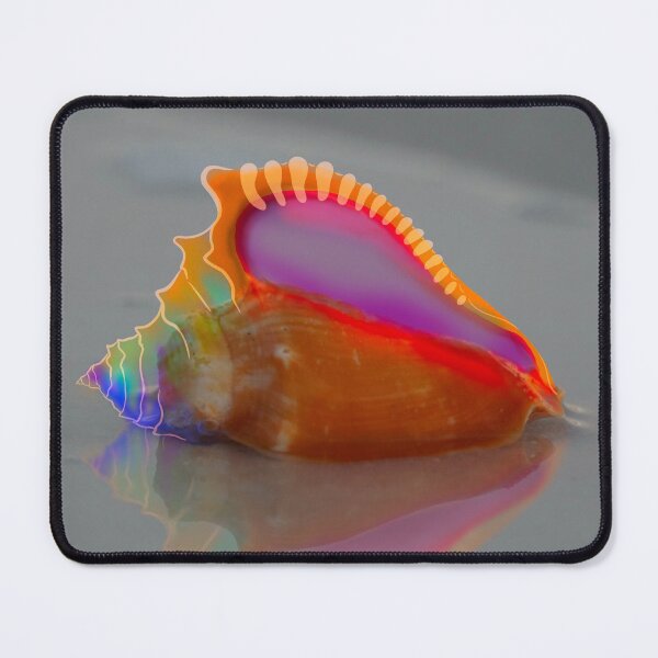 Item preview, Colorful Conch Mend designed and sold by abbundance.