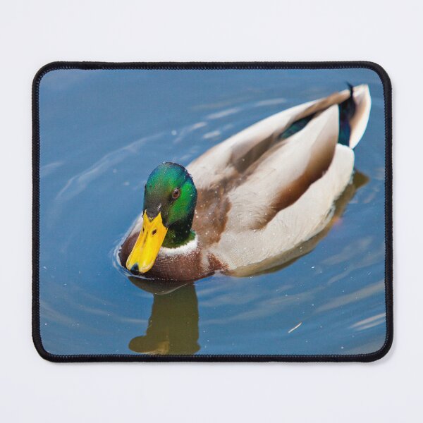 Item preview, Mallard Drake on the lake designed and sold by Dalyndigital Photography.