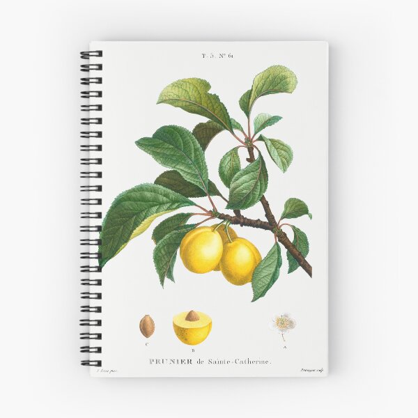 Item preview, Retro Kitchen - Plum designed and sold by Inspirationmotivation.
