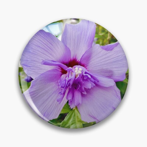 Item preview, Lavender Rose of Sharon by Sotero designed and sold by SOTERO ART.