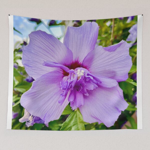 Item preview, Lavender Rose of Sharon by Sotero designed and sold by SOTERO ART.