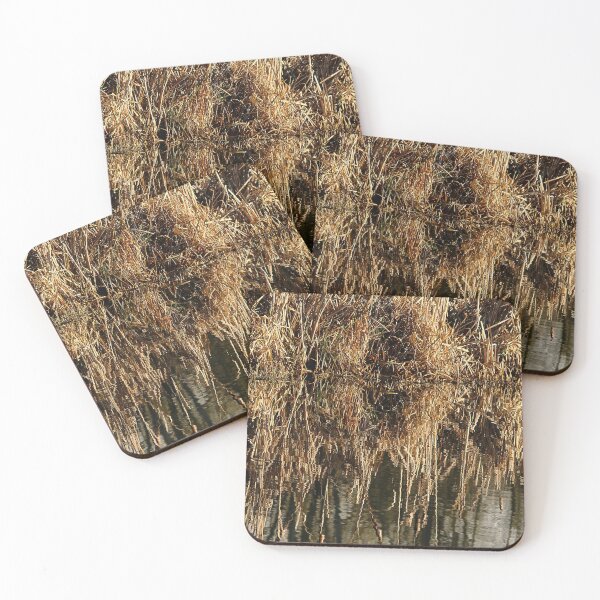 Item preview, Reeds in Retreat designed and sold by Murph's Images.