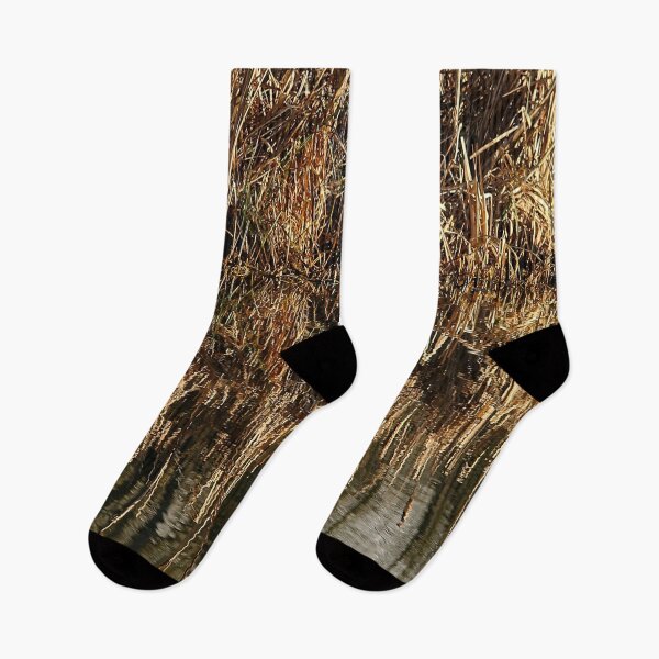 Item preview, Reeds in Retreat designed and sold by Murph's Images.