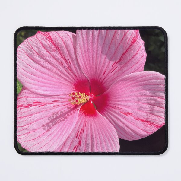 Item preview, PINK hibiscus by Sotero designed and sold by SOTERO ART.