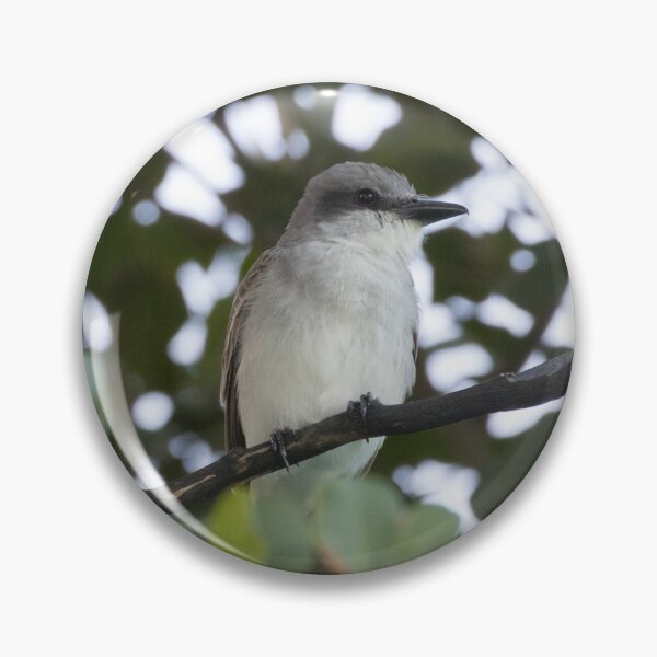 Item preview, Grey Kingbird designed and sold by LaurenTucker.