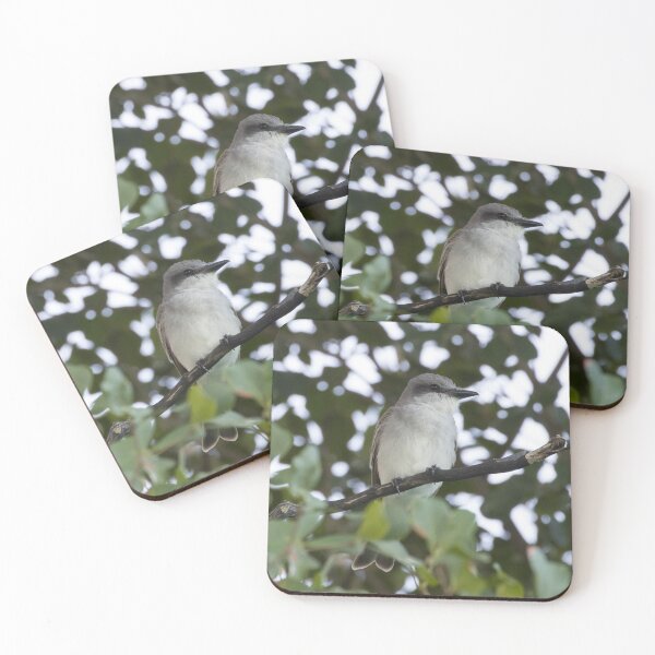 Item preview, Grey Kingbird designed and sold by LaurenTucker.