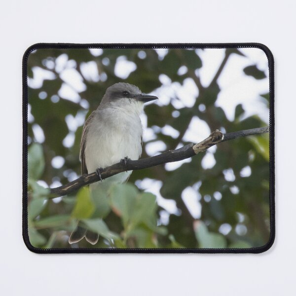 Item preview, Grey Kingbird designed and sold by LaurenTucker.