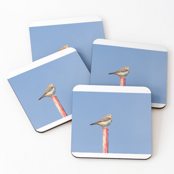 Item preview, American Kestrel designed and sold by LaurenTucker.