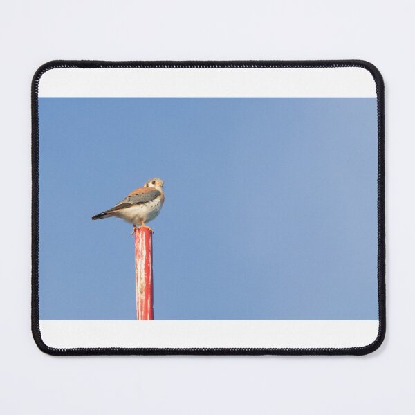 Item preview, American Kestrel designed and sold by LaurenTucker.