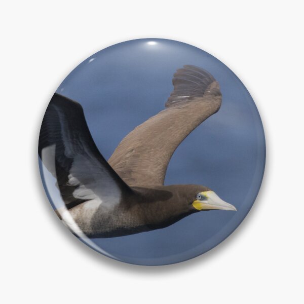 Item preview, Brown Booby designed and sold by LaurenTucker.