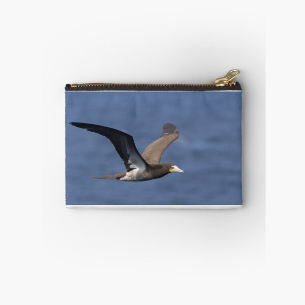 Item preview, Brown Booby designed and sold by LaurenTucker.