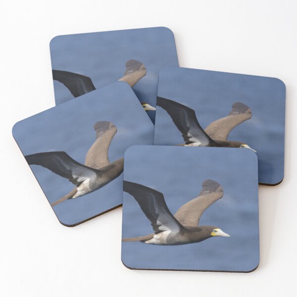 Item preview, Brown Booby designed and sold by LaurenTucker.