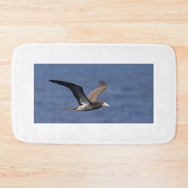 Item preview, Brown Booby designed and sold by LaurenTucker.