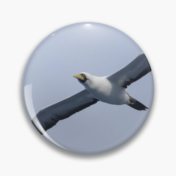 Item preview, Masked Booby designed and sold by LaurenTucker.