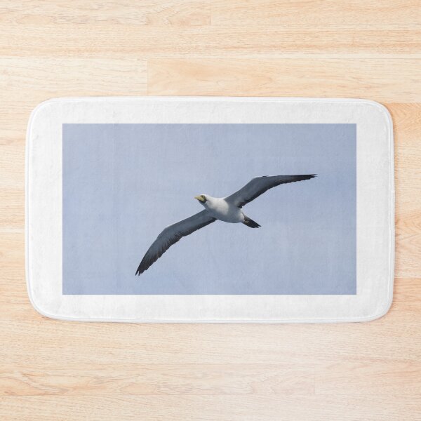 Item preview, Masked Booby designed and sold by LaurenTucker.