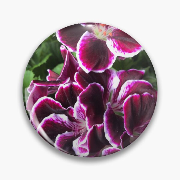 Item preview, Wine and White Geranium by Sotero designed and sold by SOTERO ART.
