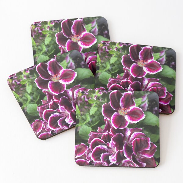 Item preview, Wine and White Geranium by Sotero designed and sold by SOTERO ART.