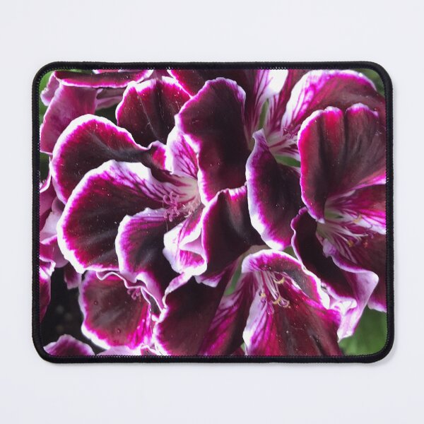 Item preview, Wine and White Geranium by Sotero designed and sold by SOTERO ART.