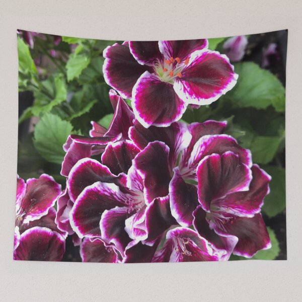 Item preview, Wine and White Geranium by Sotero designed and sold by SOTERO ART.