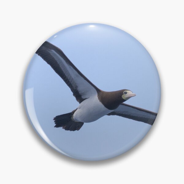 Item preview, Brown Booby designed and sold by LaurenTucker.