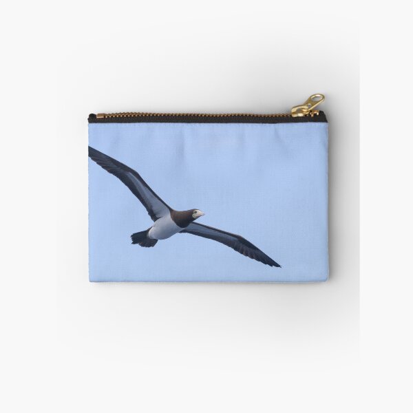Item preview, Brown Booby designed and sold by LaurenTucker.