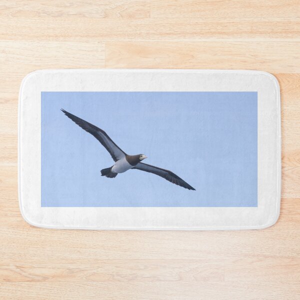 Item preview, Brown Booby designed and sold by LaurenTucker.