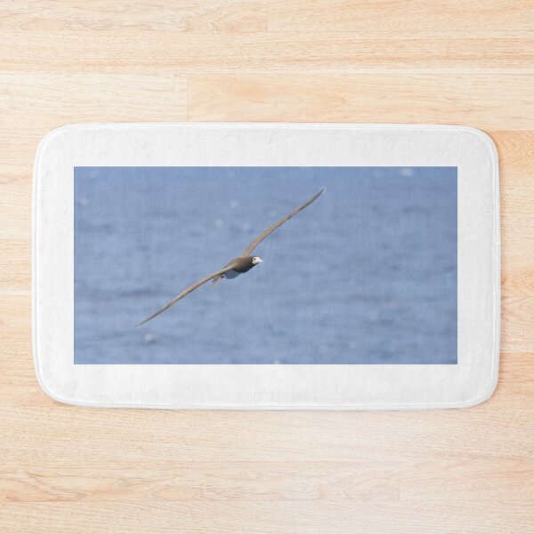 Item preview, Brown Booby designed and sold by LaurenTucker.