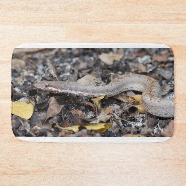 Item preview, Hispaniola Cat Eyed Snake designed and sold by LaurenTucker.