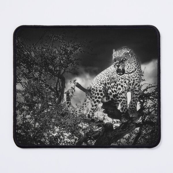 Item preview, Namibian wildlife: annoyed leopard designed and sold by shackledlettuce.