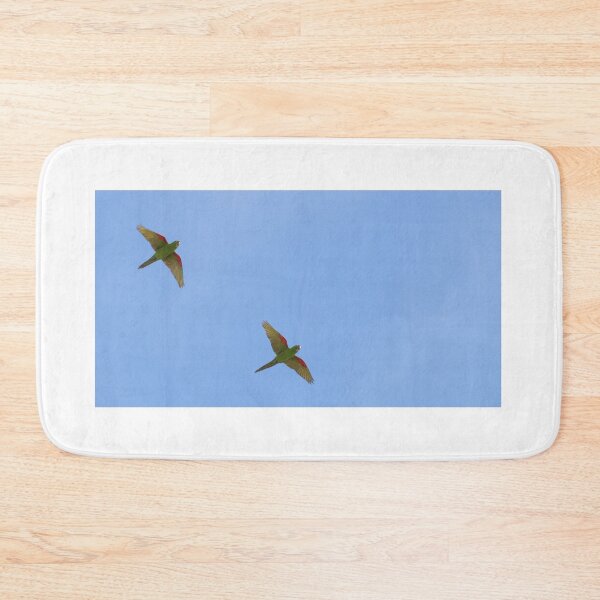 Item preview, Hispaniolan Parakeet designed and sold by LaurenTucker.