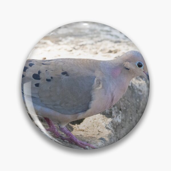 Item preview, Mourning Dove designed and sold by LaurenTucker.