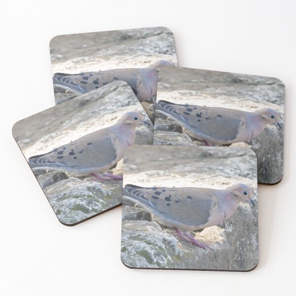 Item preview, Mourning Dove designed and sold by LaurenTucker.