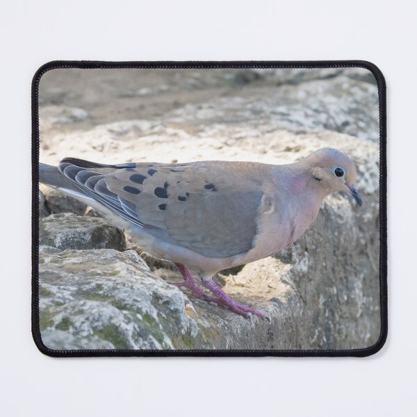 Item preview, Mourning Dove designed and sold by LaurenTucker.