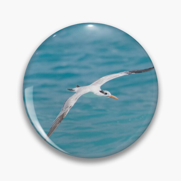 Item preview, Royal Tern designed and sold by LaurenTucker.