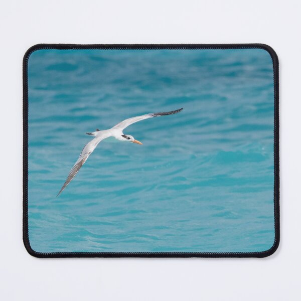 Item preview, Royal Tern designed and sold by LaurenTucker.