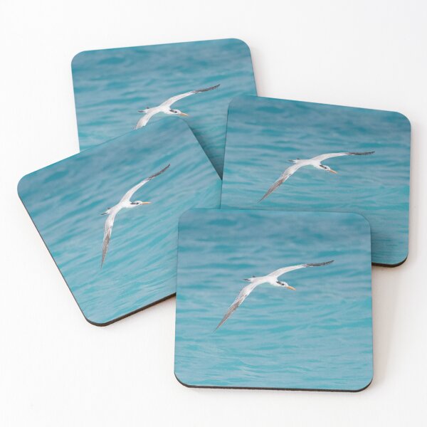 Item preview, Royal Tern designed and sold by LaurenTucker.