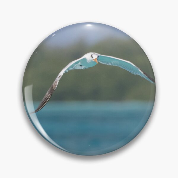 Item preview, Royal Tern designed and sold by LaurenTucker.