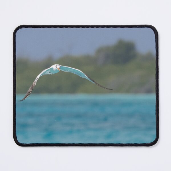 Item preview, Royal Tern designed and sold by LaurenTucker.