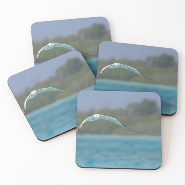 Item preview, Royal Tern designed and sold by LaurenTucker.