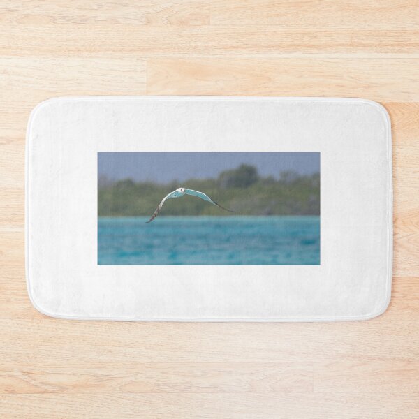 Item preview, Royal Tern designed and sold by LaurenTucker.