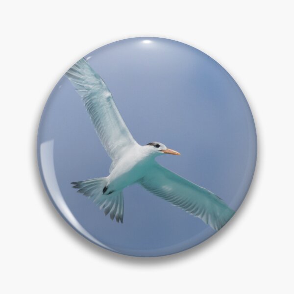 Item preview, Royal Tern designed and sold by LaurenTucker.